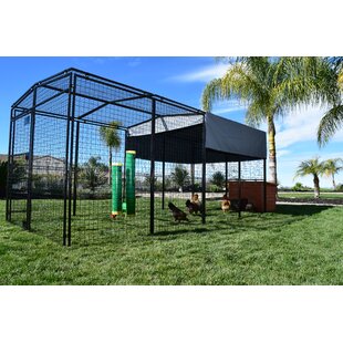 Extra Large Chicken Coops You ll Love Wayfair